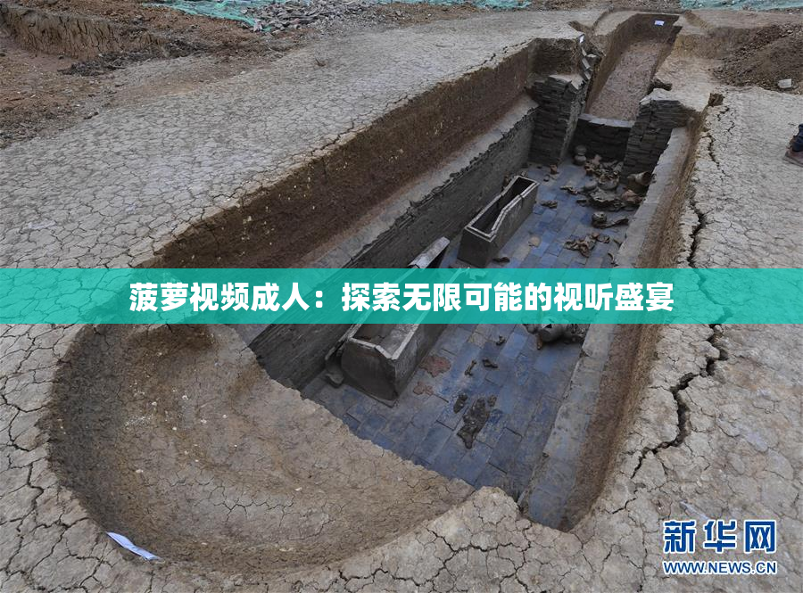 菠萝视频成人：探索无限可能的视听盛宴