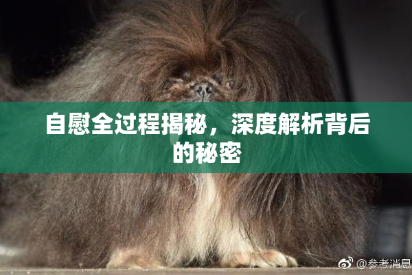 自慰全过程揭秘，深度解析背后的秘密