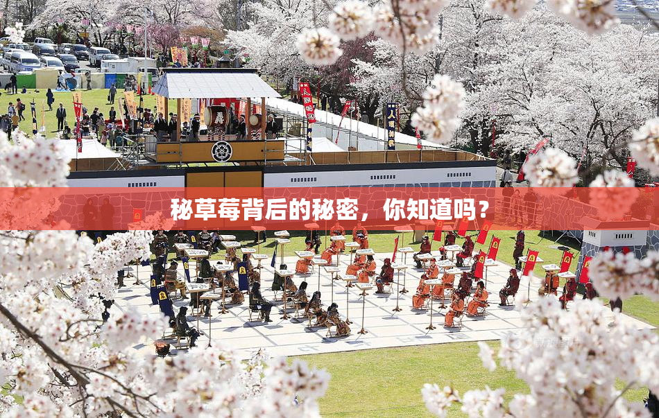秘草莓背后的秘密，你知道吗？
