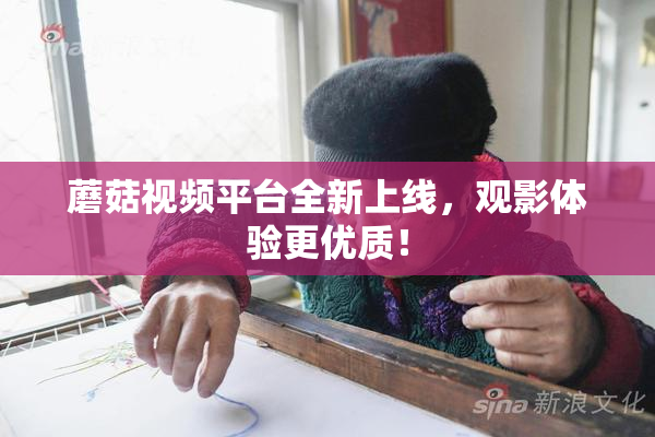 蘑菇视频平台全新上线，观影体验更优质！