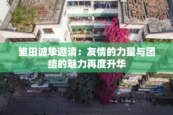 雏田诚挚邀请：友情的力量与团结的魅力再度升华