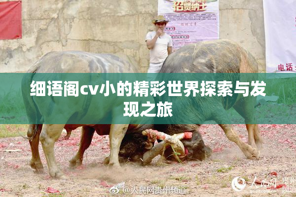 细语阁cv小的精彩世界探索与发现之旅