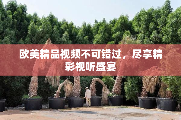 欧美精品视频不可错过，尽享精彩视听盛宴