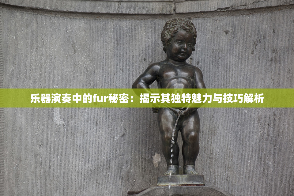 乐器演奏中的fur秘密：揭示其独特魅力与技巧解析