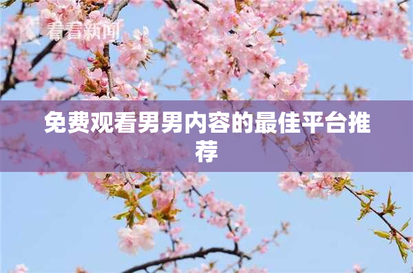 免费观看男男内容的最佳平台推荐