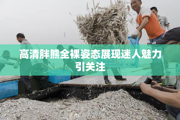 高清胖熊全裸姿态展现迷人魅力引关注