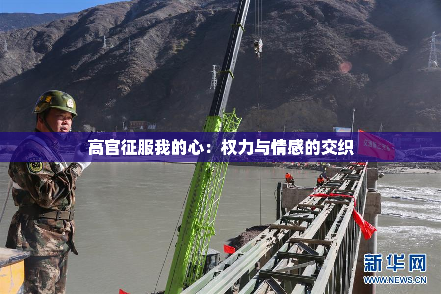 高官征服我的心：权力与情感的交织
