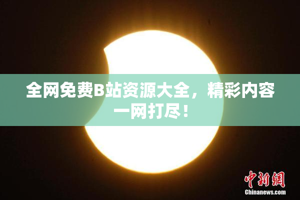 全网免费B站资源大全，精彩内容一网打尽！