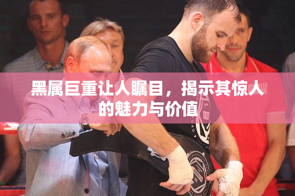 黑属巨重让人瞩目，揭示其惊人的魅力与价值