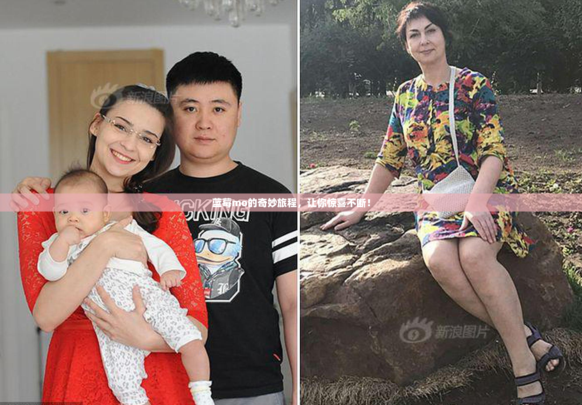 蓝莓mo的奇妙旅程，让你惊喜不断！