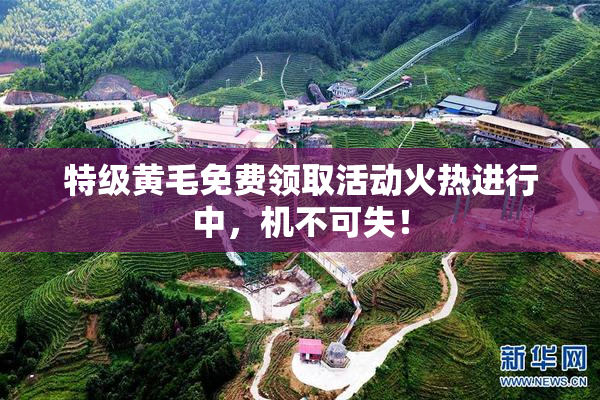 特级黄毛免费领取活动火热进行中，机不可失！