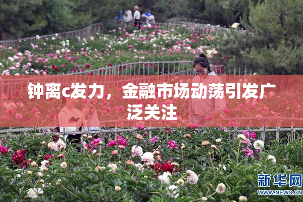 钟离c发力，金融市场动荡引发广泛关注
