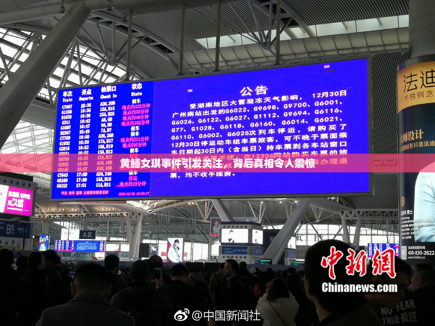 黄鳝女琪事件引发关注，背后真相令人震惊