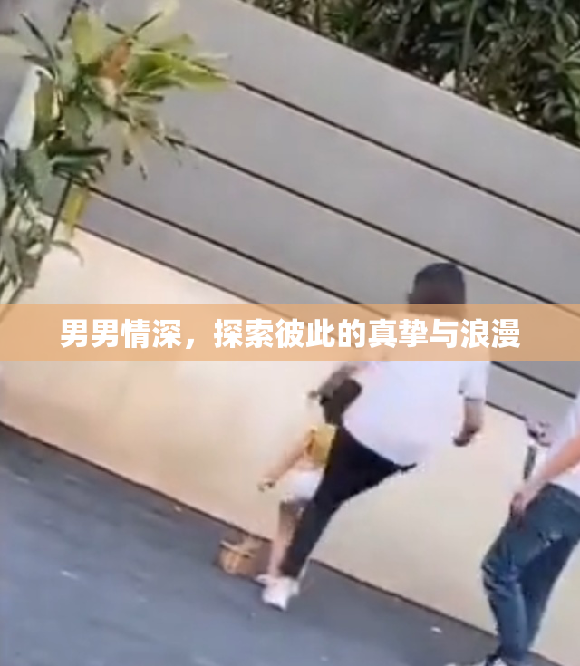 男男情深，探索彼此的真挚与浪漫