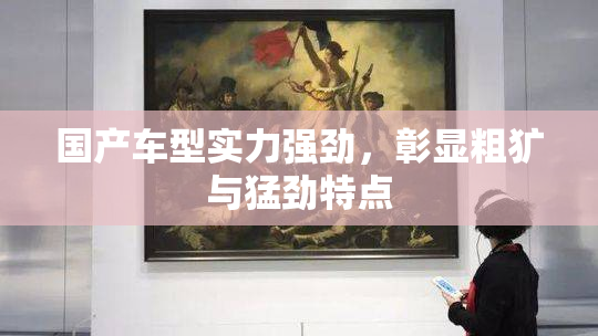 国产车型实力强劲，彰显粗犷与猛劲特点