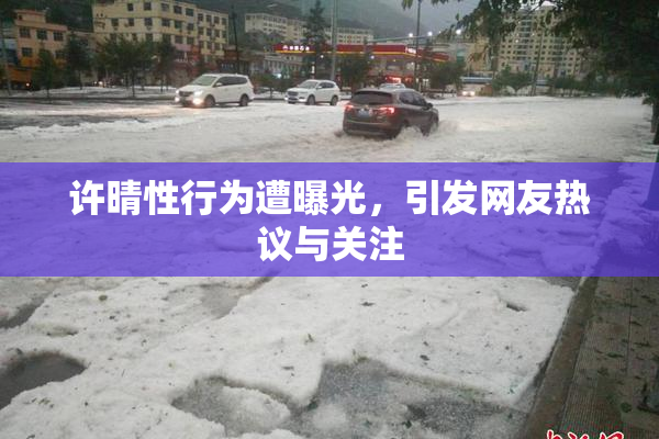 许晴性行为遭曝光，引发网友热议与关注