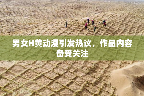 男女H黄动漫引发热议，作品内容备受关注