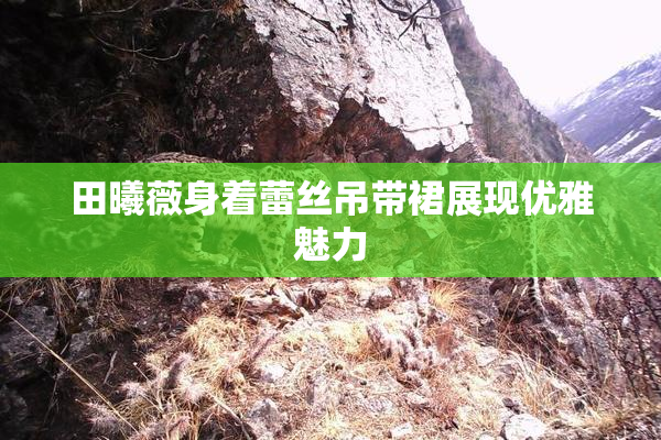 田曦薇身着蕾丝吊带裙展现优雅魅力