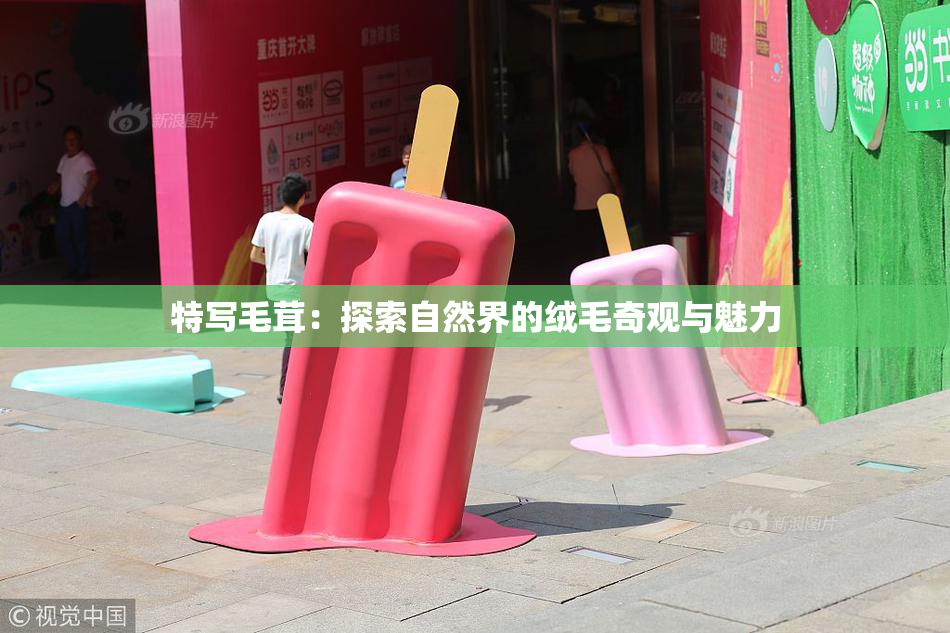 特写毛茸：探索自然界的绒毛奇观与魅力