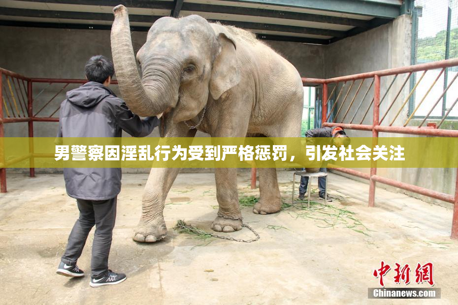 男警察因淫乱行为受到严格惩罚，引发社会关注