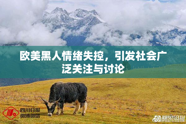 欧美黑人情绪失控，引发社会广泛关注与讨论