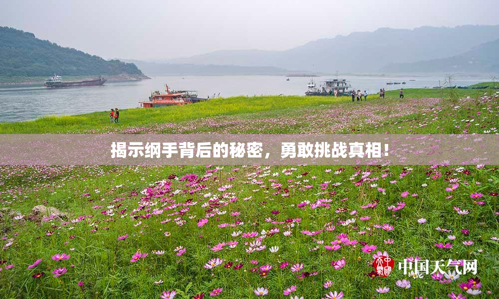 揭示纲手背后的秘密，勇敢挑战真相！