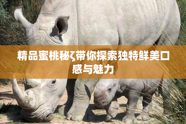 精品蜜桃秘ζ带你探索独特鲜美口感与魅力