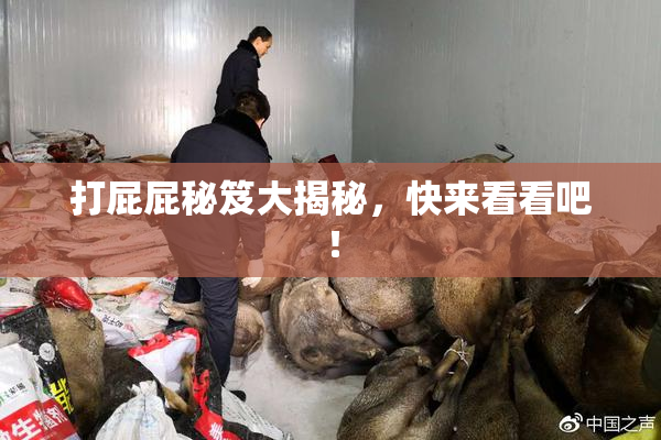 打屁屁秘笈大揭秘，快来看看吧！