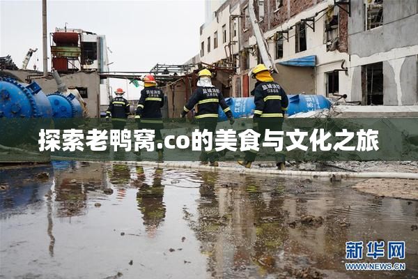 探索老鸭窝.co的美食与文化之旅