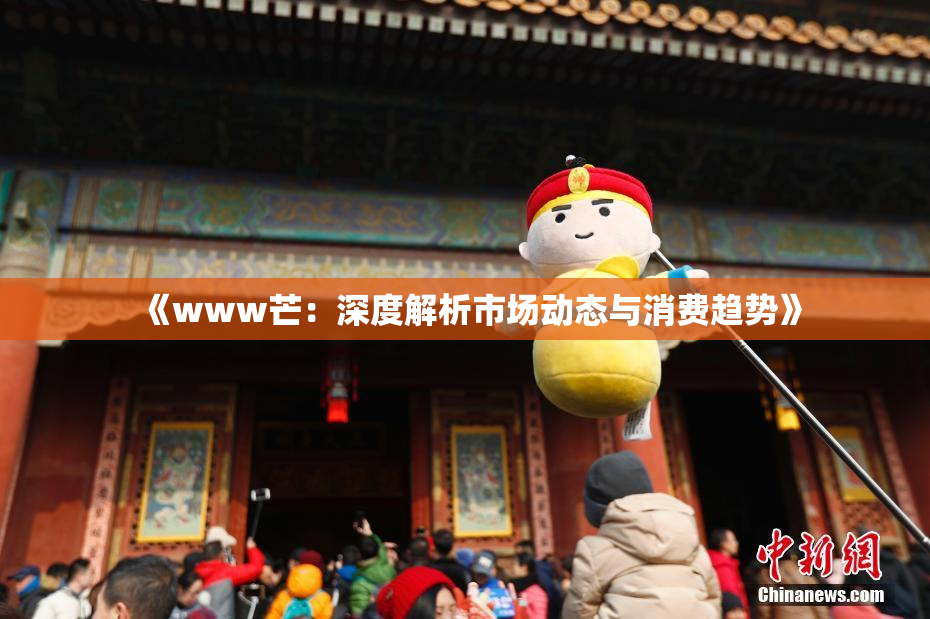 《www芒：深度解析市场动态与消费趋势》