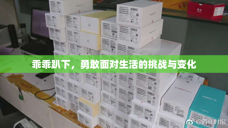 乖乖趴下，勇敢面对生活的挑战与变化
