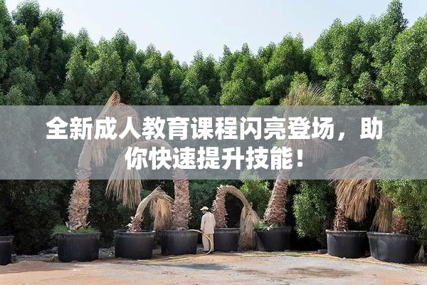 全新成人教育课程闪亮登场，助你快速提升技能！