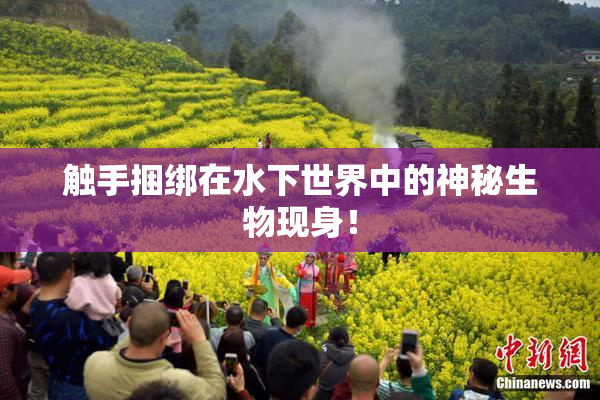 触手捆绑在水下世界中的神秘生物现身！