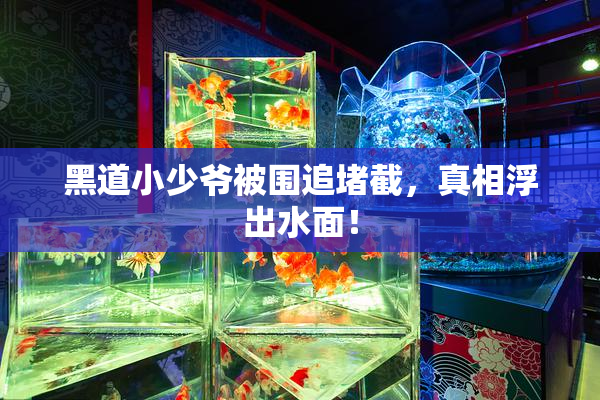 黑道小少爷被围追堵截，真相浮出水面！