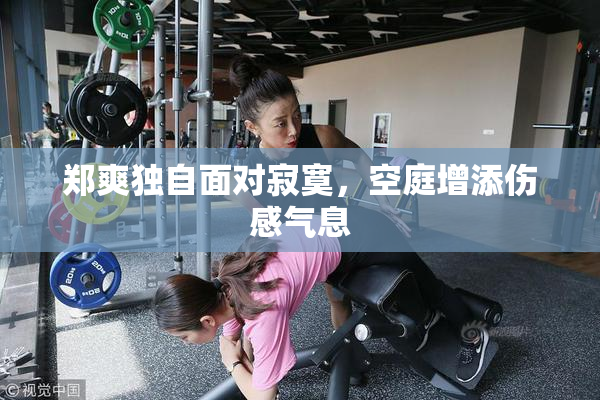 郑爽独自面对寂寞，空庭增添伤感气息