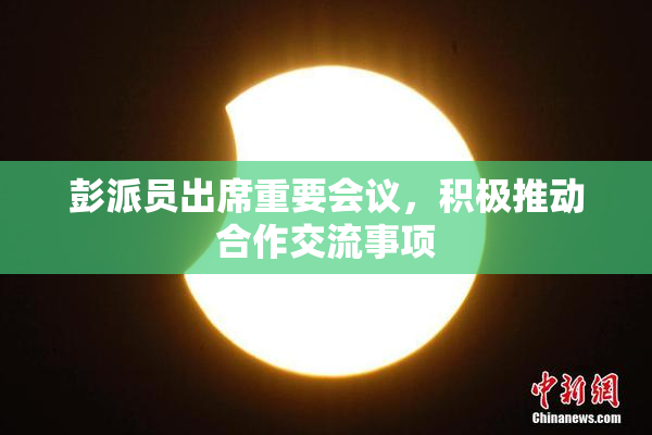 彭派员出席重要会议，积极推动合作交流事项