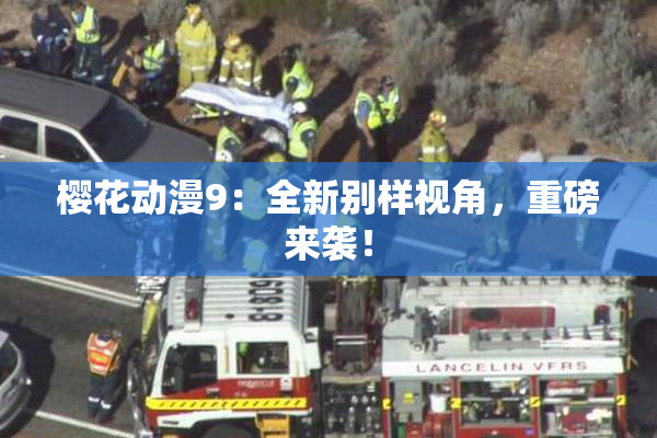 樱花动漫9：全新别样视角，重磅来袭！