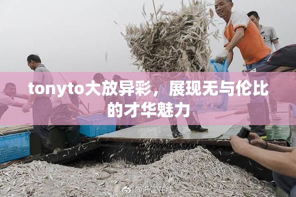 tonyto大放异彩，展现无与伦比的才华魅力