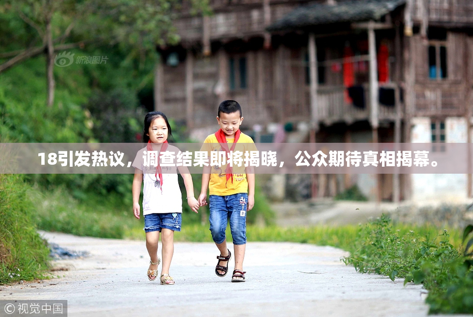 18引发热议，调查结果即将揭晓，公众期待真相揭幕。