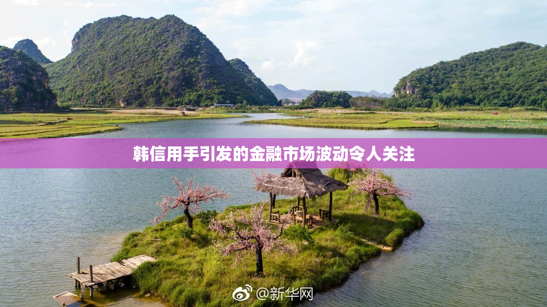 韩信用手引发的金融市场波动令人关注