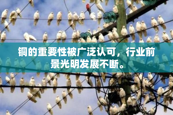 铜的重要性被广泛认可，行业前景光明发展不断。