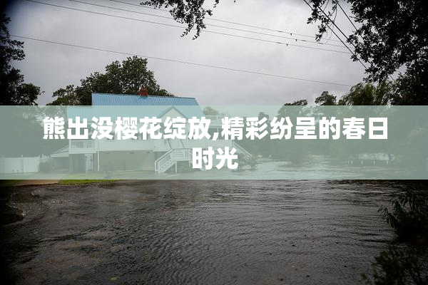 熊出没樱花绽放,精彩纷呈的春日时光
