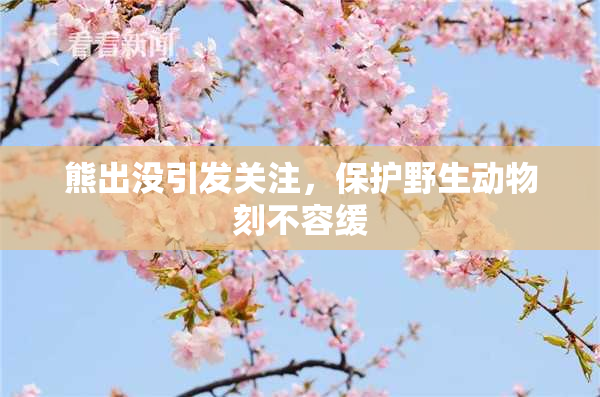 熊出没引发关注，保护野生动物刻不容缓