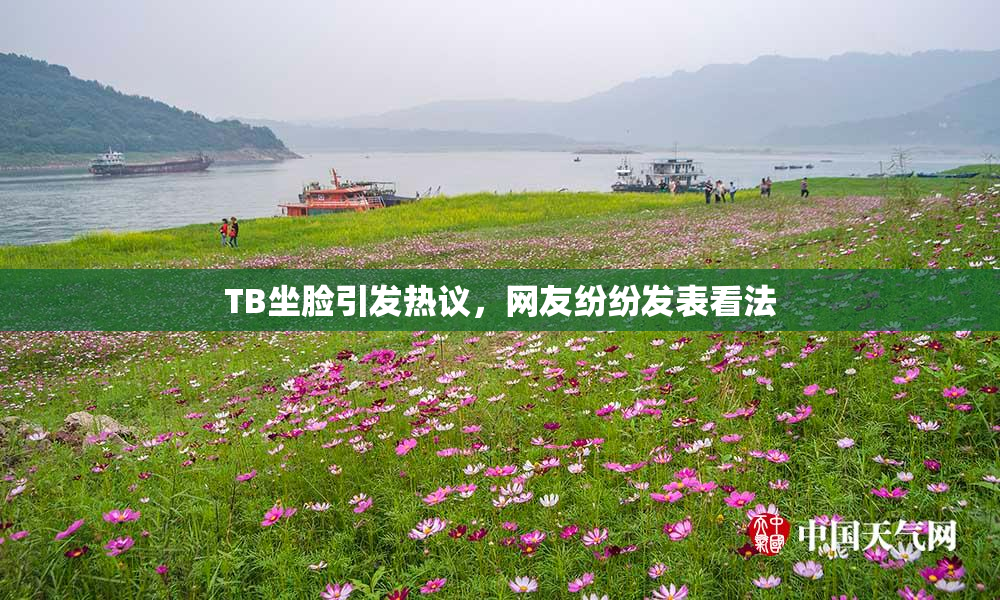 TB坐脸引发热议，网友纷纷发表看法