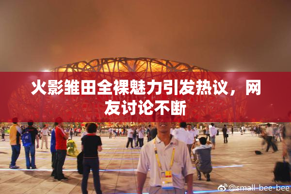 火影雏田全裸魅力引发热议，网友讨论不断