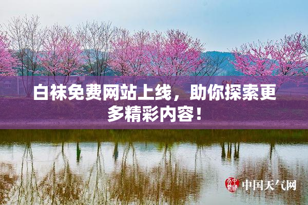 白袜免费网站上线，助你探索更多精彩内容！