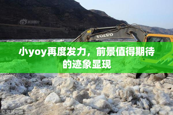 小yoy再度发力，前景值得期待的迹象显现