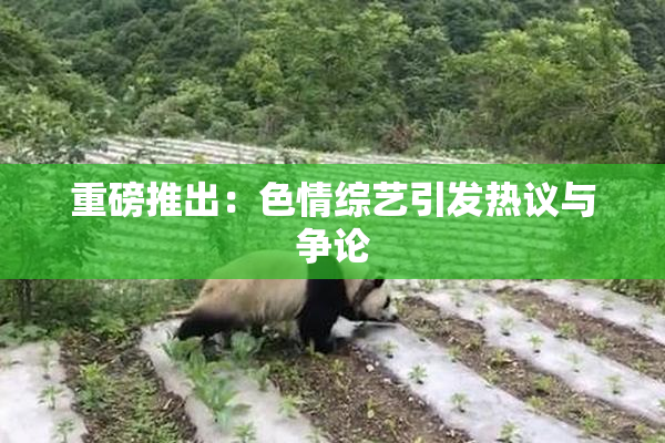 重磅推出：色情综艺引发热议与争论