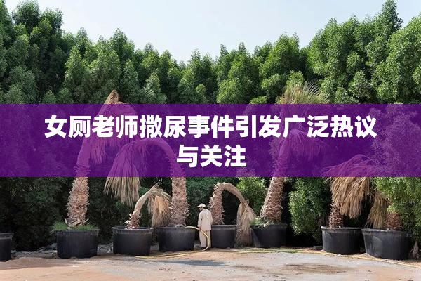 女厕老师撒尿事件引发广泛热议与关注