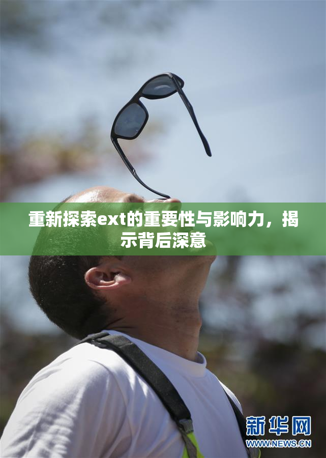重新探索ext的重要性与影响力，揭示背后深意